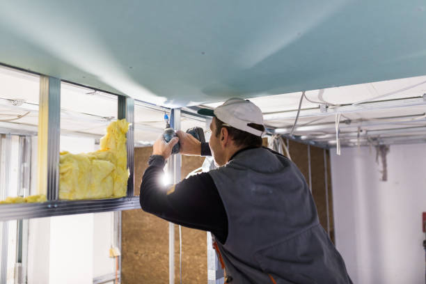 Best Wall Insulation Installation  in Onsted, MI