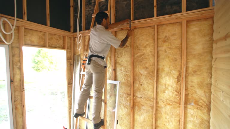 Best Soundproof Insulation  in Onsted, MI