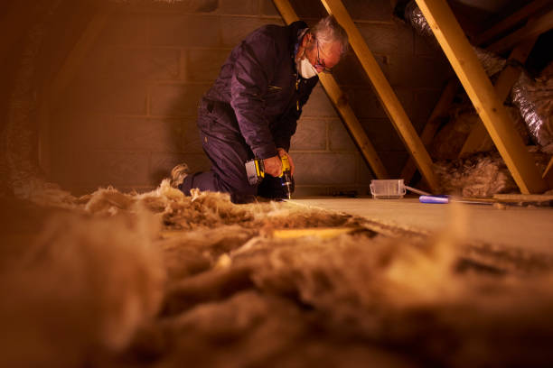 Best Eco-Friendly or Green Insulation Solutions  in Onsted, MI